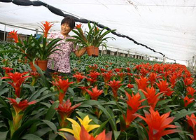 清苑春景生态观光园