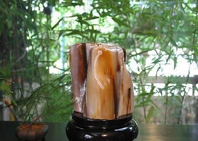 硅化木园林公园