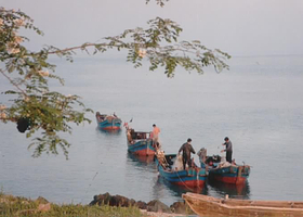 平岛旅游度假村