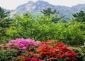 月出山国立公园