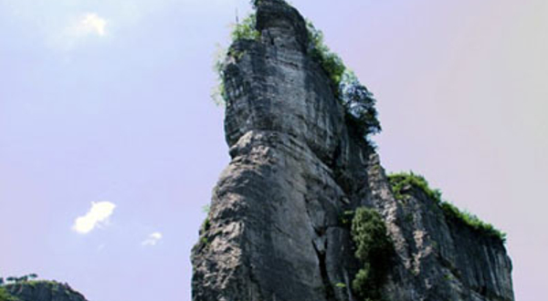 四野屯