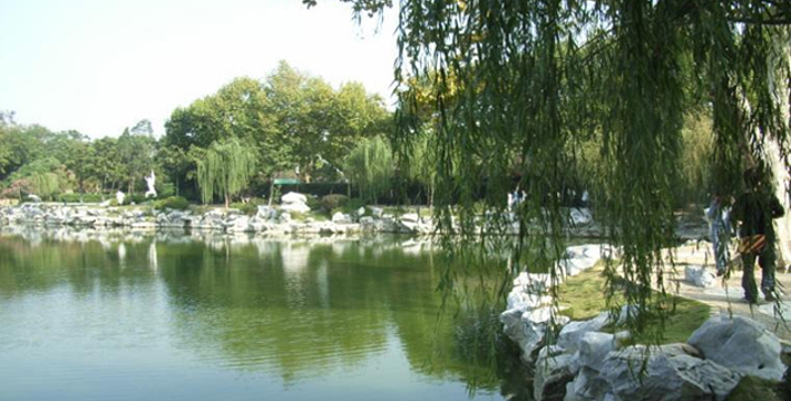 5010d1fe191c3bce93835fbb.jpg_710x360_83258aa4.jpg