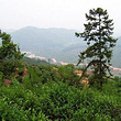 石瓯山生态景区