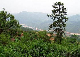 石瓯山生态景区