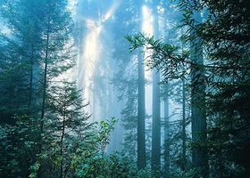 钟灵山国家森林公园