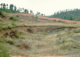 腊玛古猿化石产地