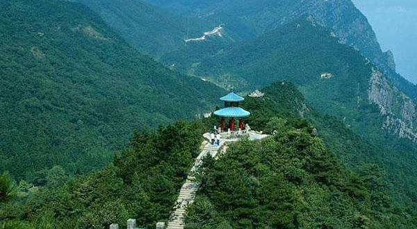 山东