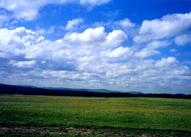 五泉山自然保护区