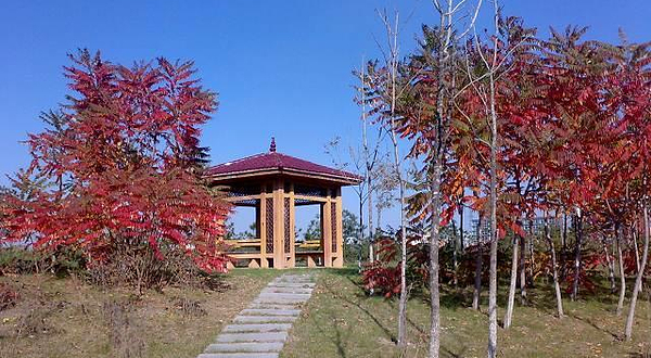 宽城区