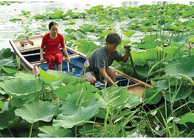 野生禽鸟湿地乐园