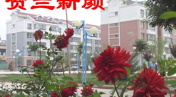 贺兰县