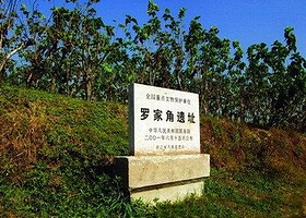 罗家角遗址