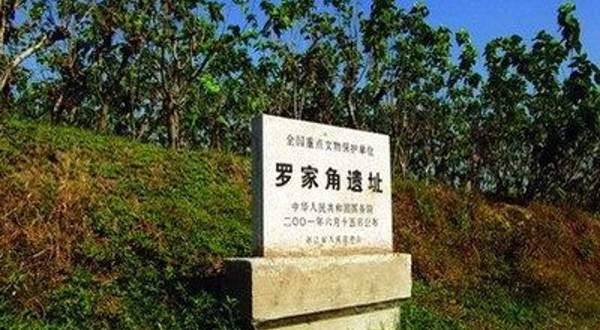 罗家角遗址