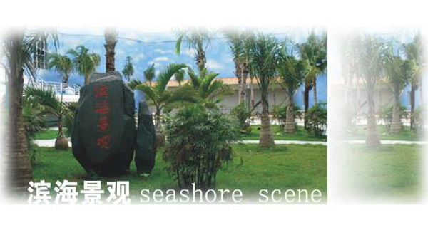 滨海景观