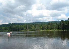 鹤岗小兴安岭林区