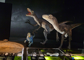 国立海洋博物馆