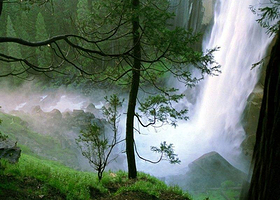 小白龙森林公园