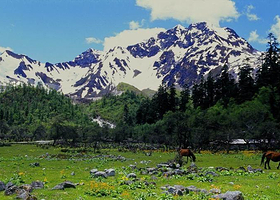 岗乡自然保护区