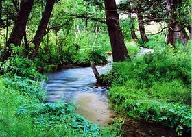 石佛国家森林公园