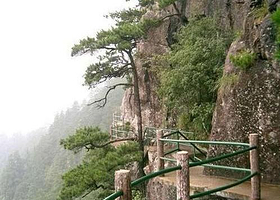 寨里大张古瓷窑址