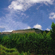 平天山国家森林公园