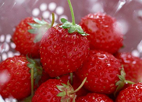 丽之源燕清采摘园