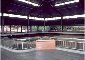 岩寺洞原始人居住地