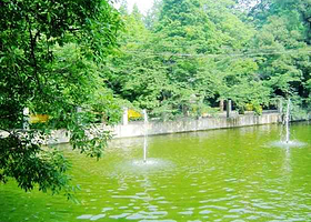 报晓峰景区