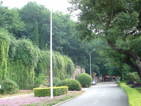 麒麟区  地址(位置,怎么去,怎么走):  园林路寥廓公园内  标签: 动物