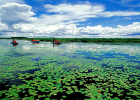 七星河自然保护区