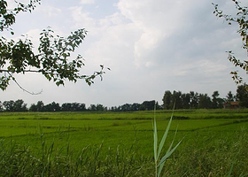 鑫安源绿色生态园