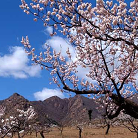 虹螺山