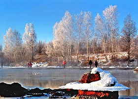 带岭动植物资源馆