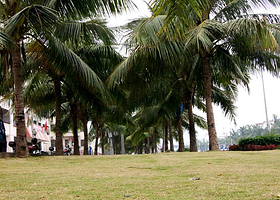 白沙门旅游娱乐园