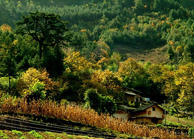 延安国家森林公园