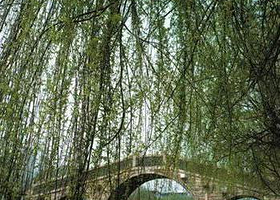 福泉山古文化遗址