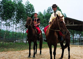 清新牧场骑马俱乐部