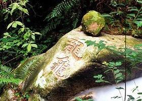 封开黑石顶自然保护区