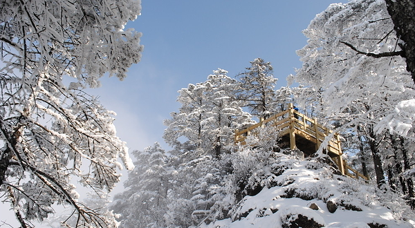 西岭雪山