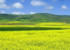 都兰国际狩猎场