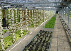 金科生态园艺场