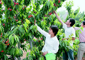 戴格润旅游科普基地