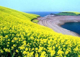 汉江丹江口库区