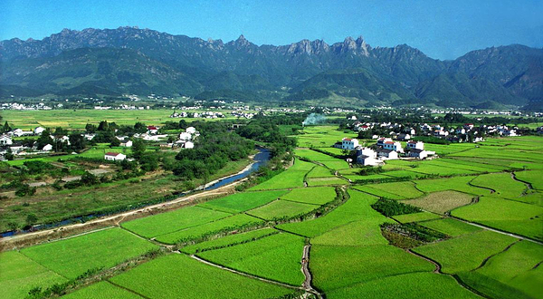 青阳县