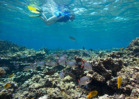 维多利亚海洋公园