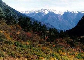 高山国家森林公园