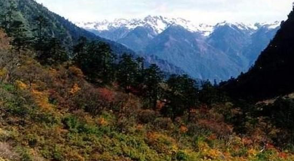 高山国家森林公园