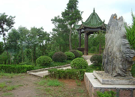 黄山植物大观园