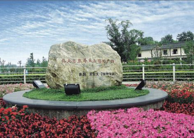 红砂村花乡农居