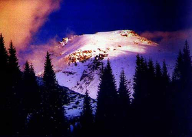 雪岭云杉自然保护区